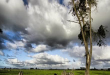 天涯社区海口分享会火热进行