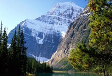 天涯社区柳州论坛：柳州人的网上聊天宝地！大家好啊，我是本地爱好者，今天来聊聊这个超火的地方。